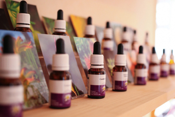 並べられたエッセンシャルオイル