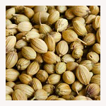 コリアンダーシード