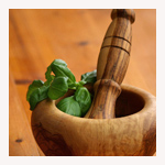 キッチンハーブ